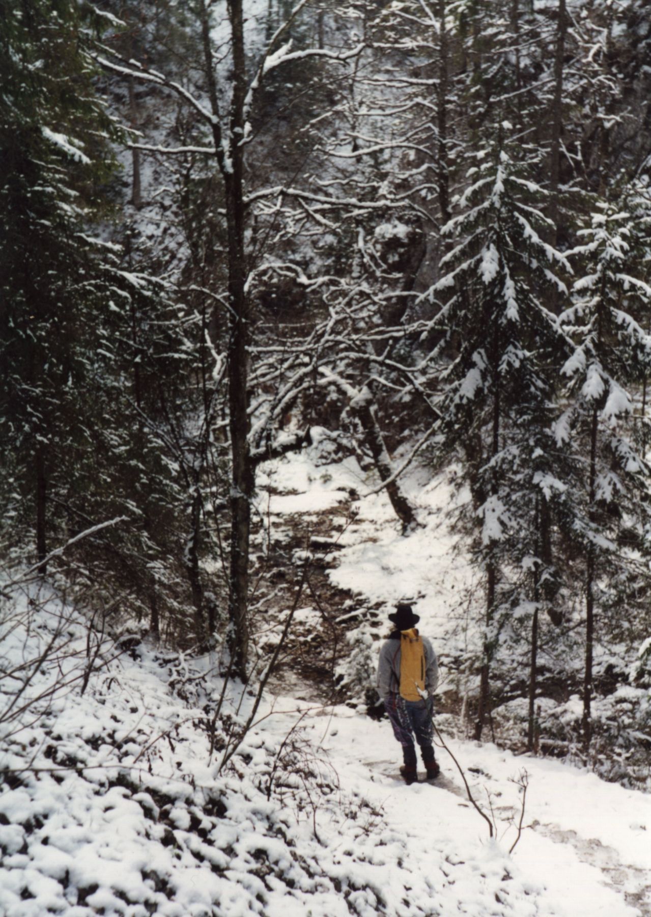 Thumbnail of photo from this article